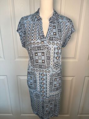 Rachel Zoe Pale Blue Paisley Bandana dress